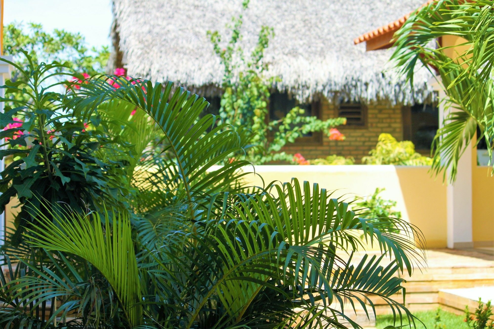 Hotel Villa Beija Flor Jijoca de Jericoacoara Dış mekan fotoğraf