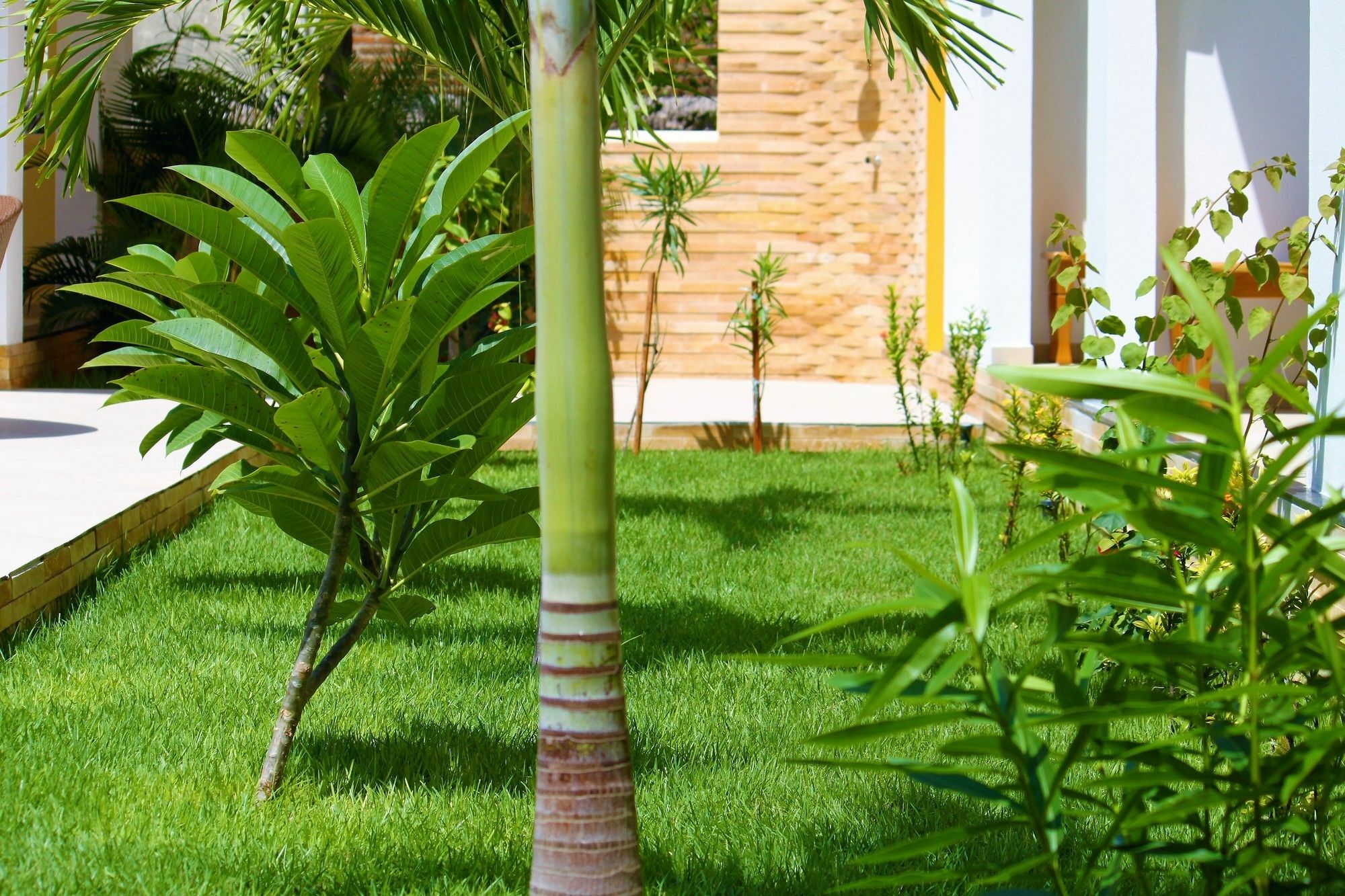 Hotel Villa Beija Flor Jijoca de Jericoacoara Dış mekan fotoğraf
